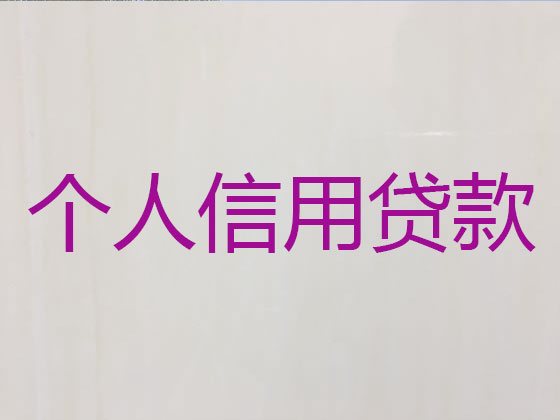 蒙自市贷款中介公司-银行信用贷款